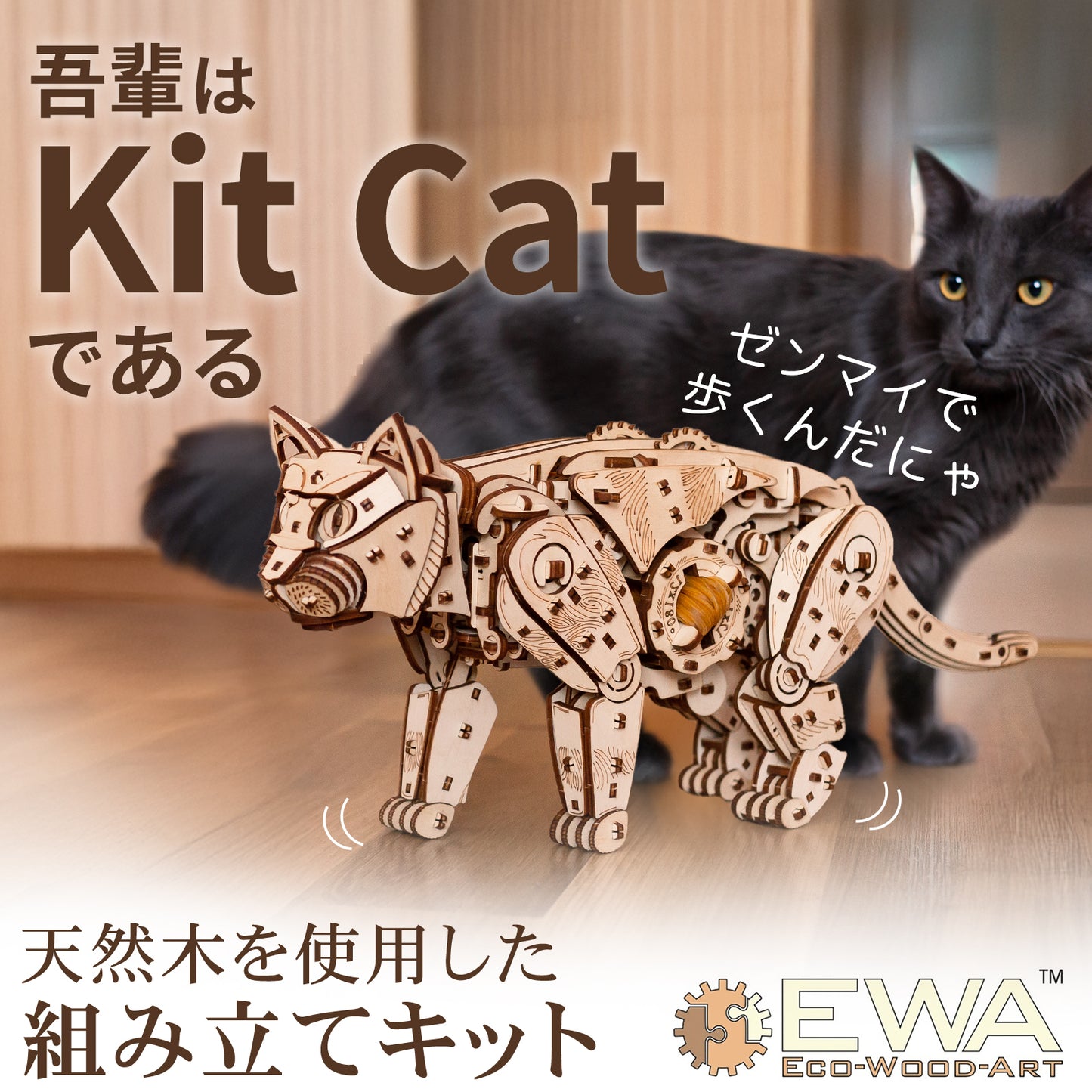 Kit Cat