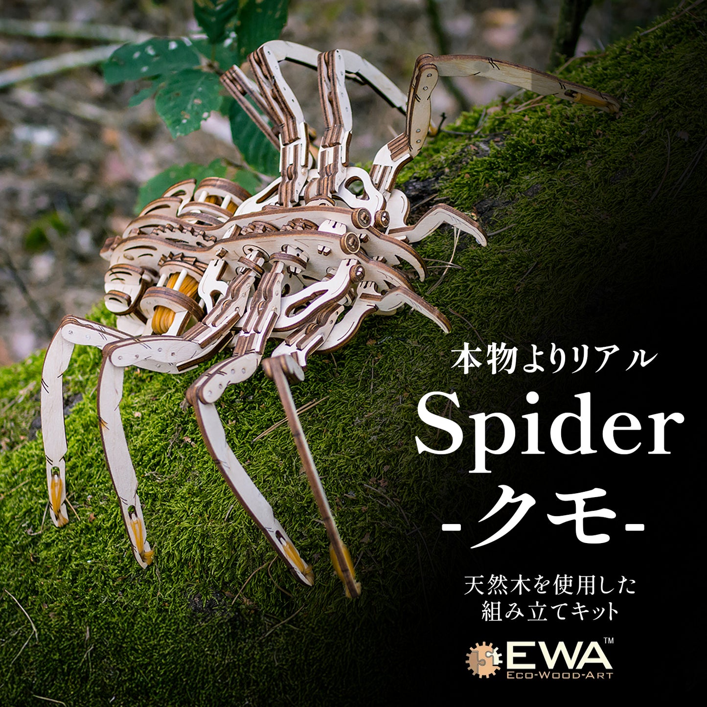 Spider クモの木製組み立てキット