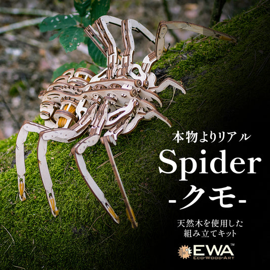 Spider クモの木製組み立てキット