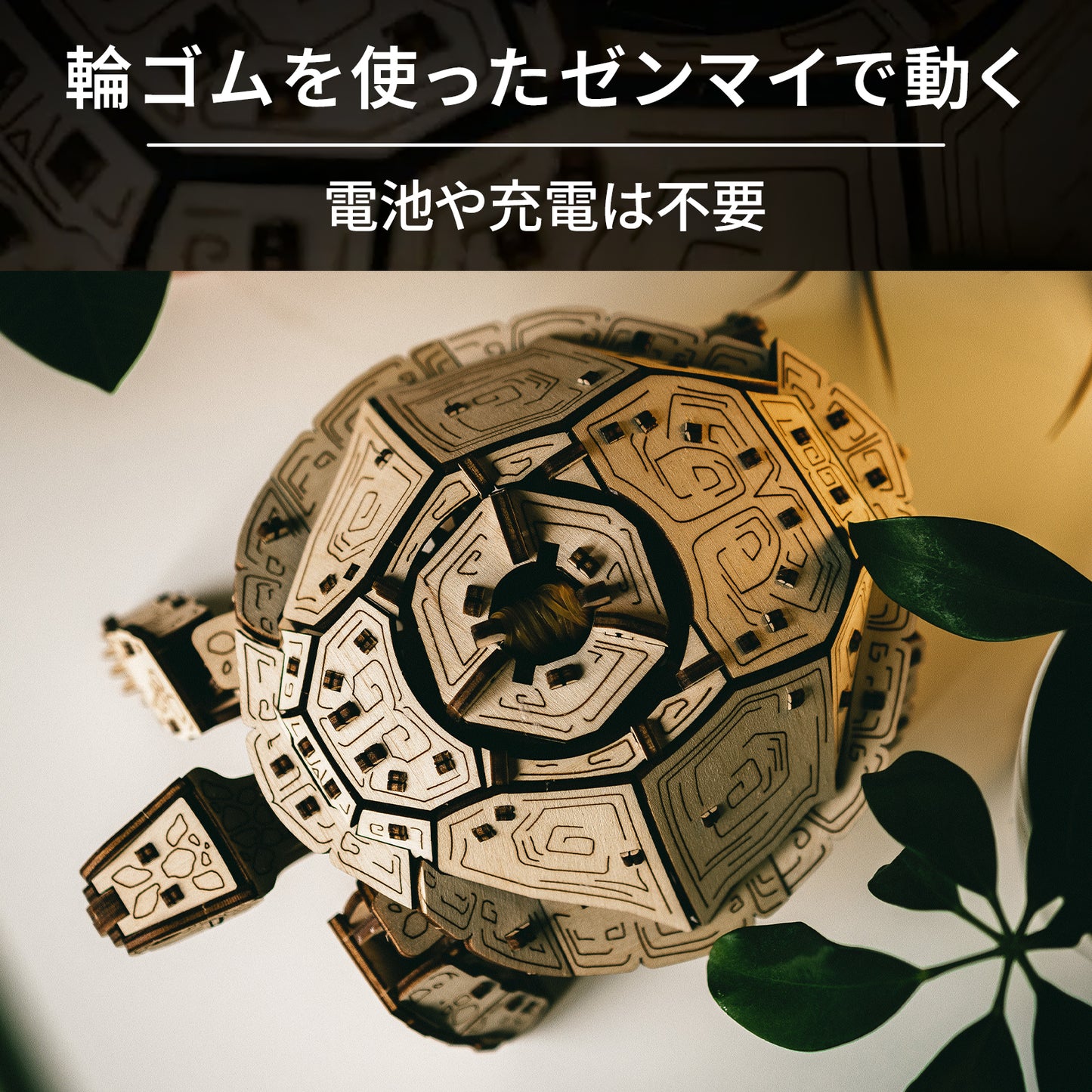 Turtle カメの木製組み立てキット