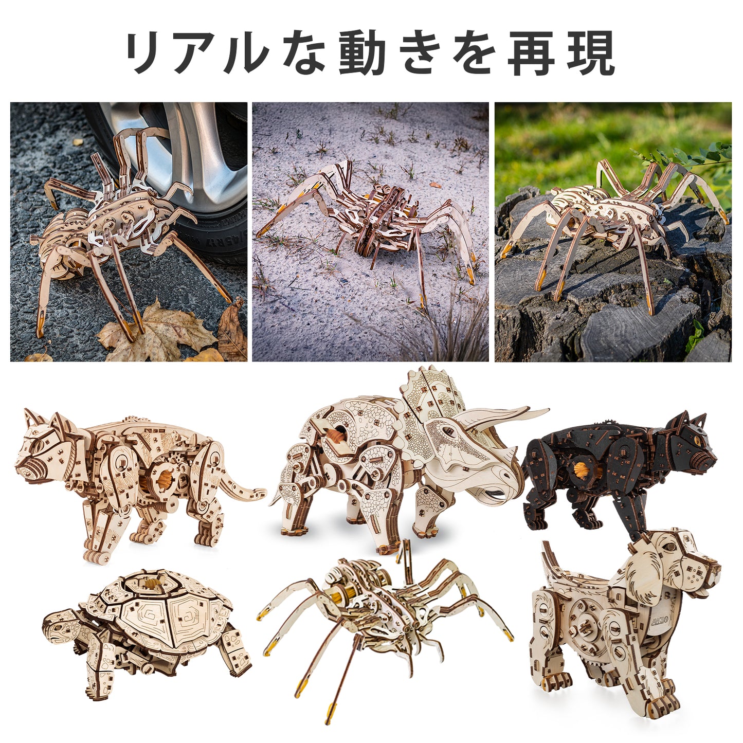 Spider クモの木製組み立てキット