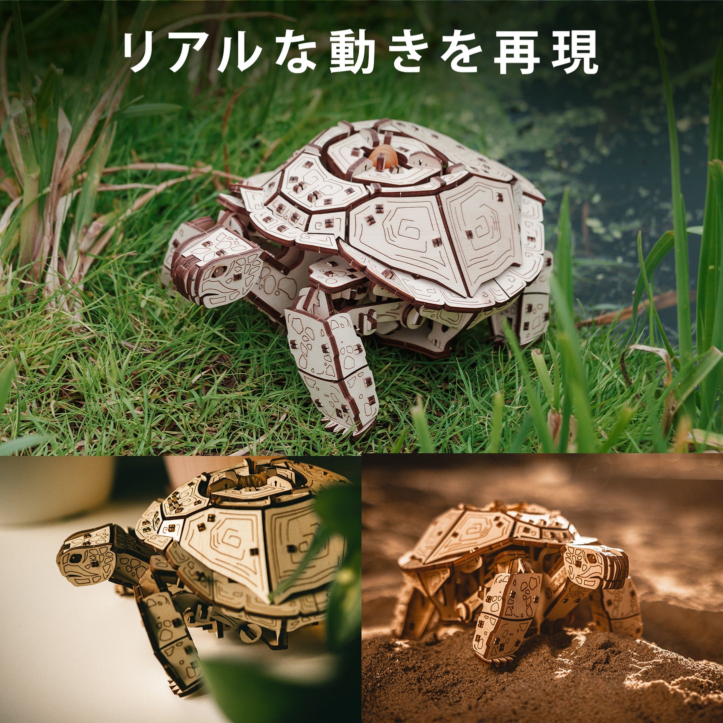 Turtle カメの木製組み立てキット