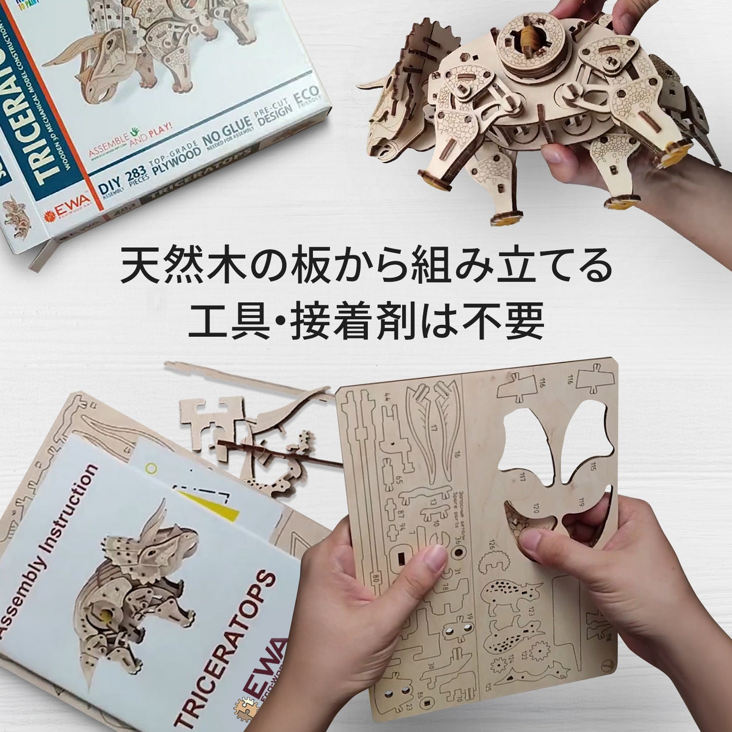 Triceratops トリプラスの木製組み立てキット