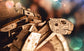 Liquid error (sections/main-product line 170): Could not find asset snippets/ls-alt.liquid