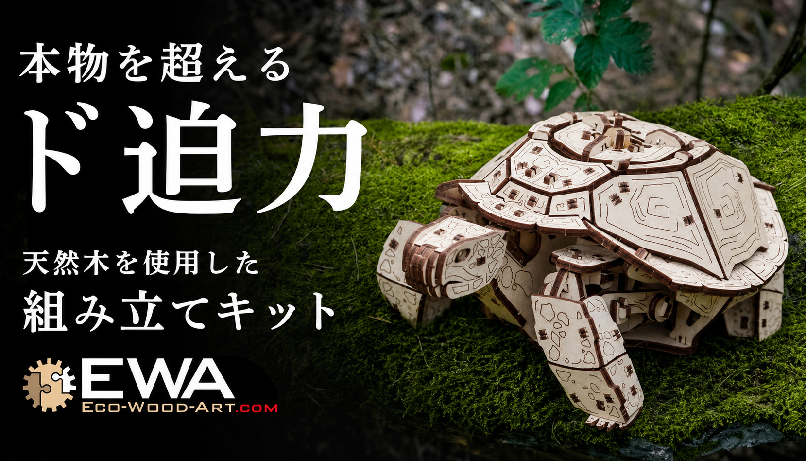 動く木製キット カメ